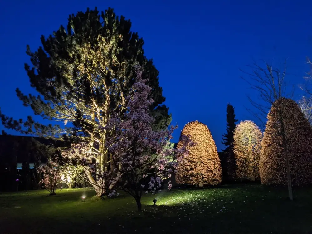 Éclairages jardin à Onnaing