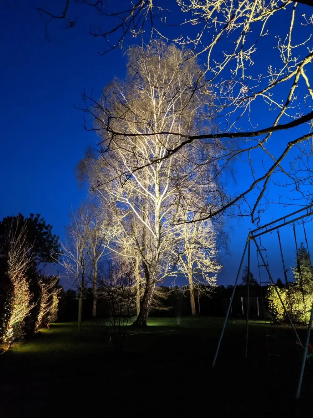clairages jardin à Onnaing__architecte-paysagiste (1)