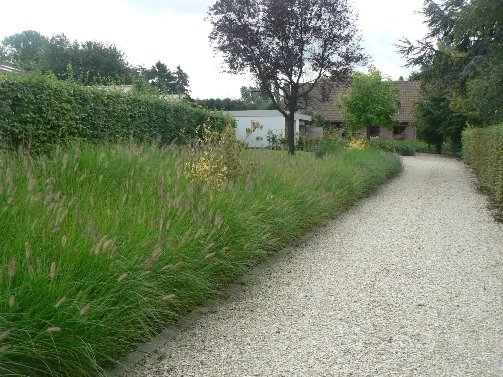 jardin à Beloeil_Jerome Broucke_architecte_paysagiste (4)