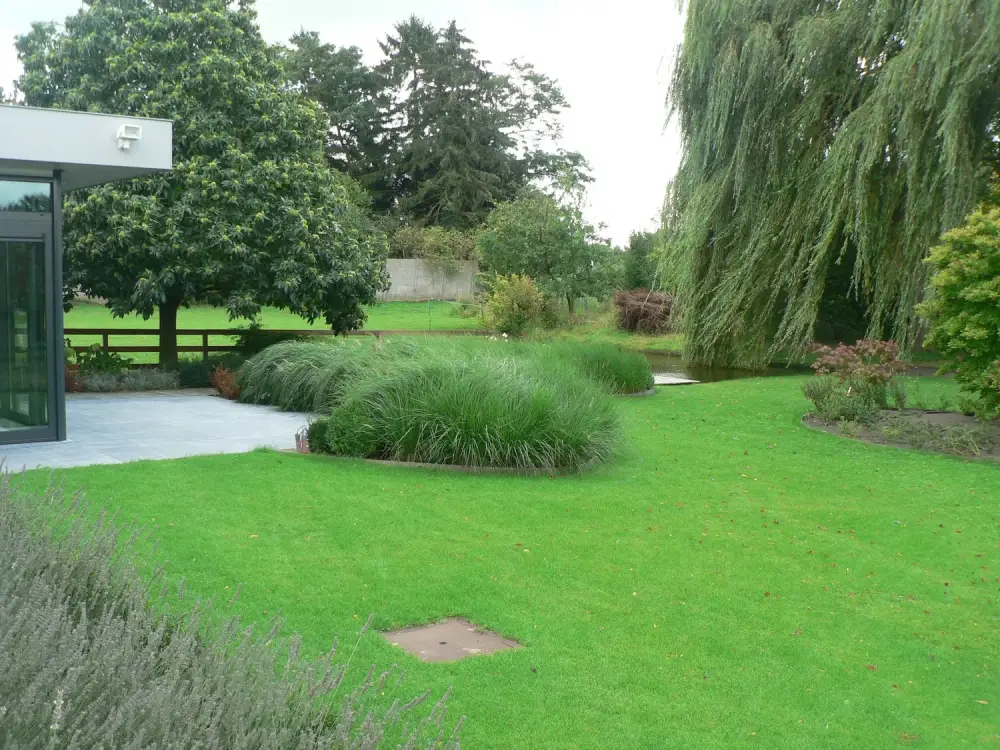 jardin à Beloeil_Jerome Broucke_architecte_paysagiste (7)