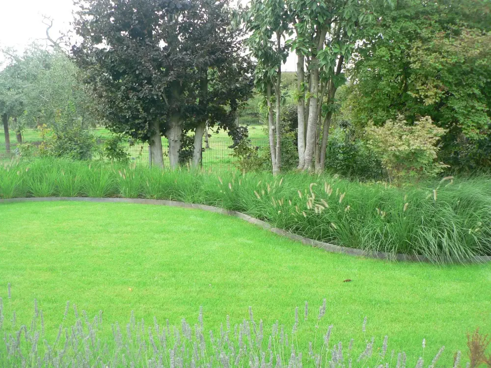 jardin à Beloeil_Jerome Broucke_architecte_paysagiste (12)
