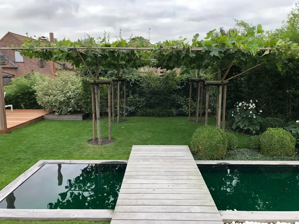 jardin contemporain à Mouscron_Jerome Broucke_architecte_paysagiste (3)
