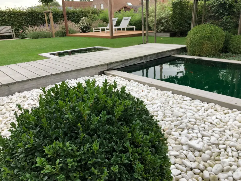 jardin contemporain à Mouscron_Jerome Broucke_architecte_paysagiste (8)