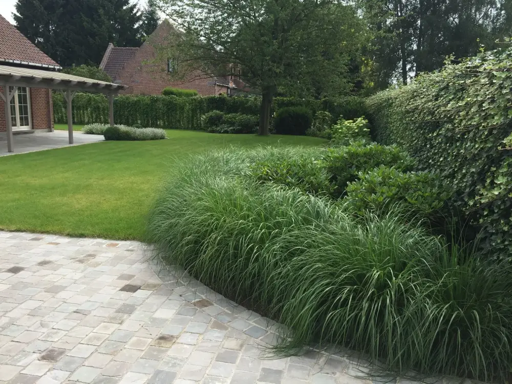 jardin cottage à Ellegnies-Saint-Anne_Jerome Broucke_architecte_paysagiste (3)