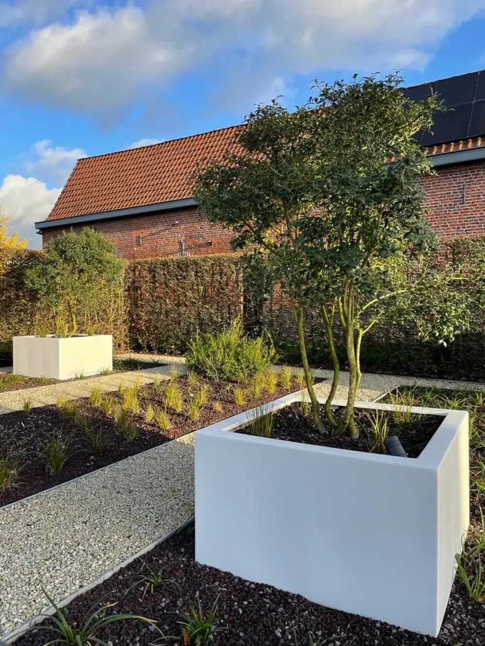 jardin devanture contemporain à Kain_Jerome Broucke_architecte_paysagiste (6)