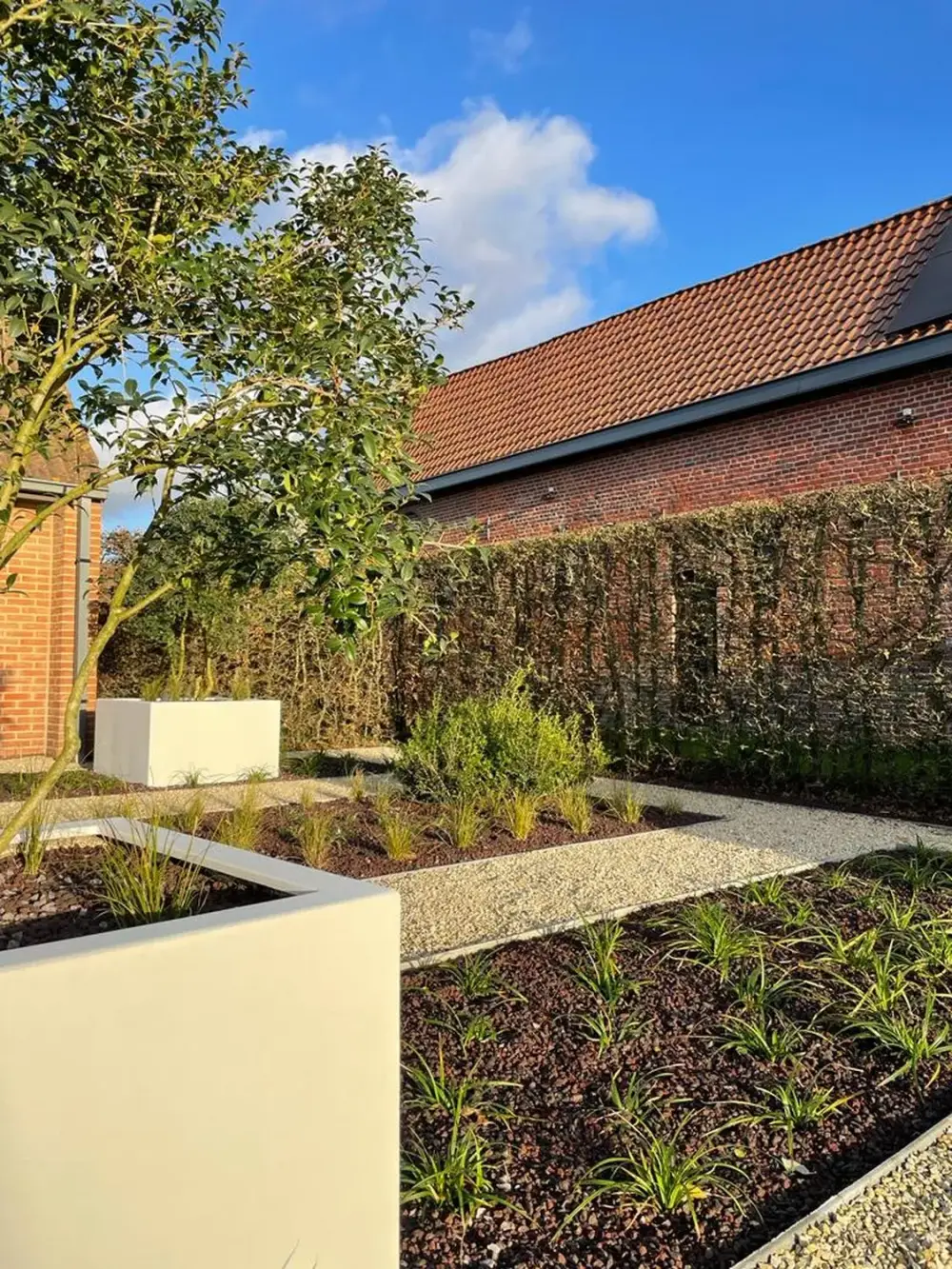jardin devanture contemporain à Kain_Jerome Broucke_architecte_paysagiste (7)