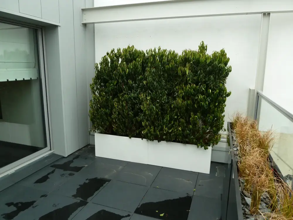 terrasse penthouse à Lille_Jerome Broucke_architecte_paysagiste (7)