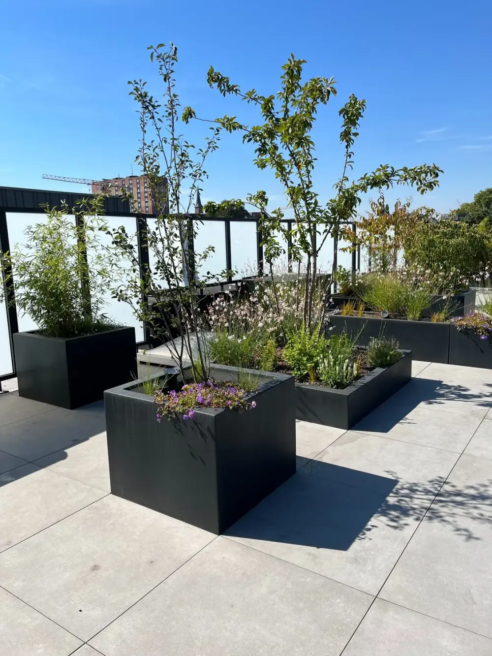 terrasse penthouse à Mouscron_Jerome Broucke_architecte_paysagiste (4)