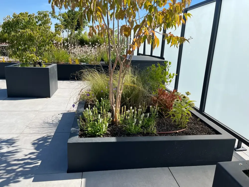 terrasse penthouse à Mouscron_Jerome Broucke_architecte_paysagiste (5)