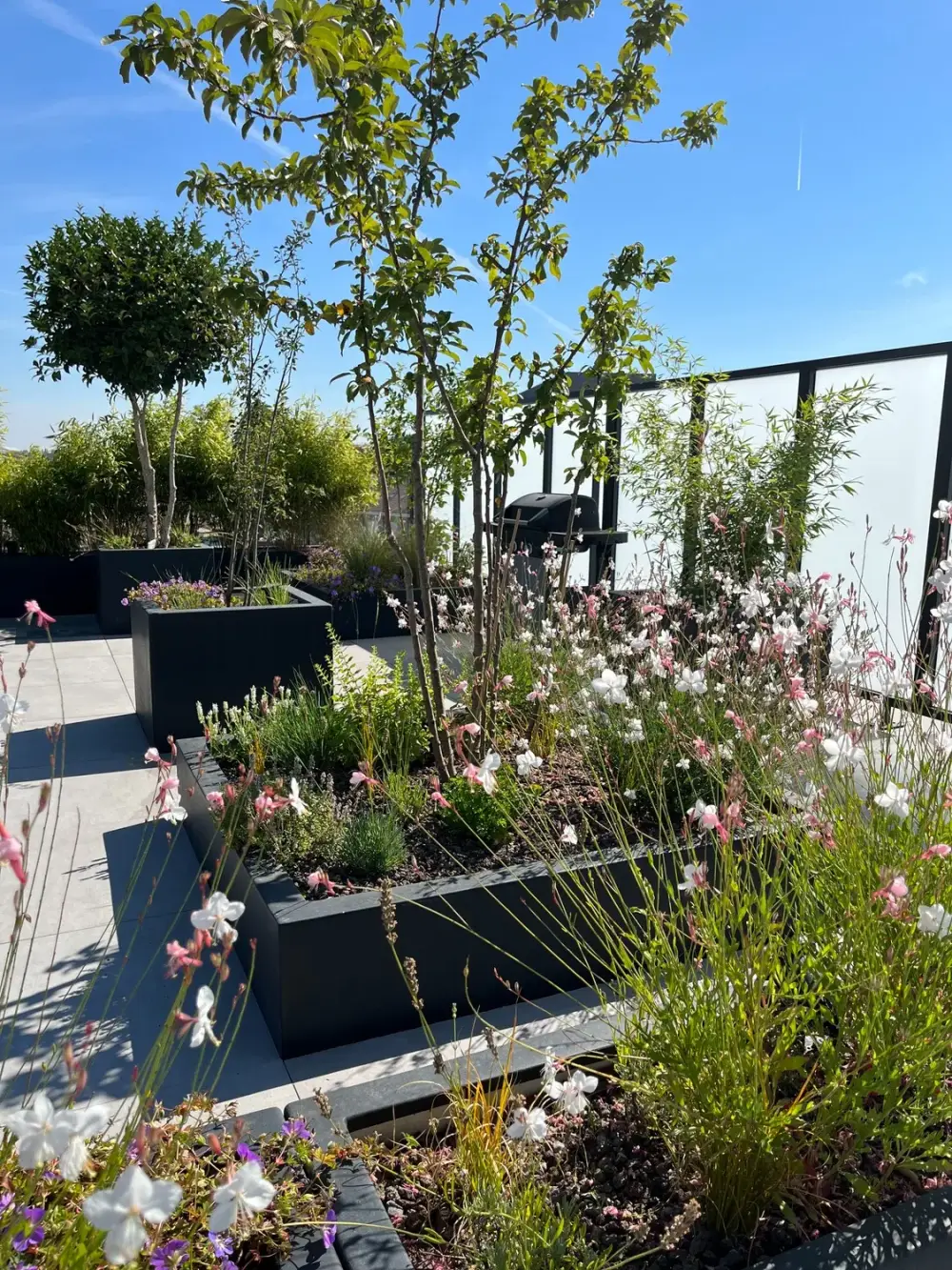 terrasse penthouse à Mouscron_Jerome Broucke_architecte_paysagiste (8)