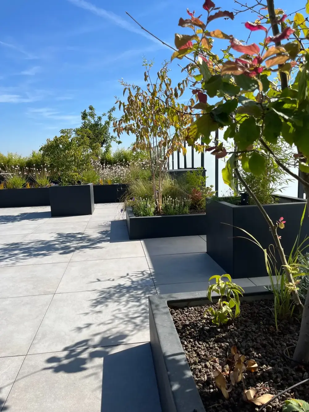 terrasse penthouse à Mouscron_Jerome Broucke_architecte_paysagiste (14)