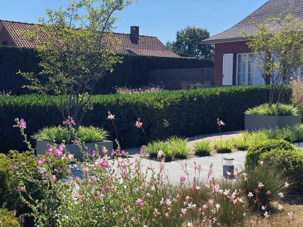 jardin rebecq (6)