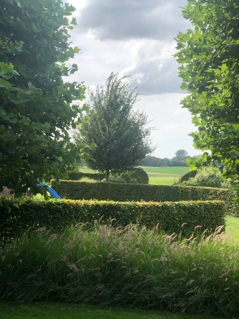 jardin frasnes (11)