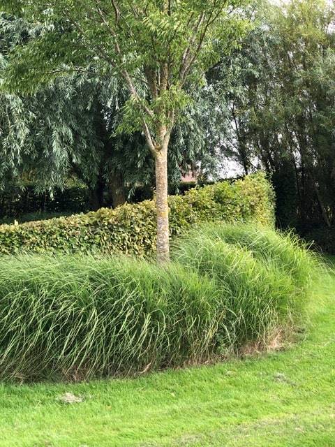 jardin frasnes (12)