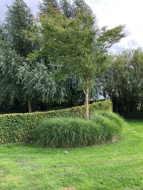 jardin frasnes (13)