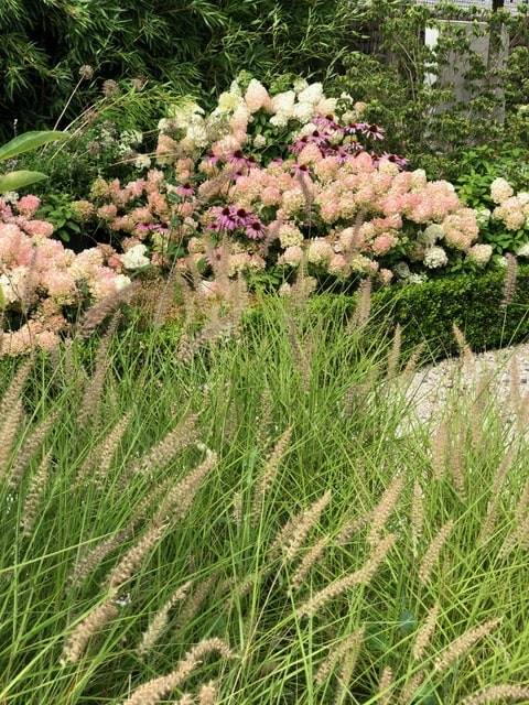 jardin frasnes (15)