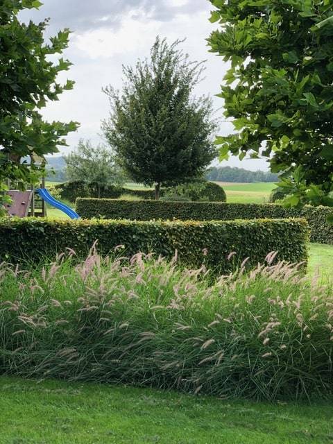 jardin frasnes (20)