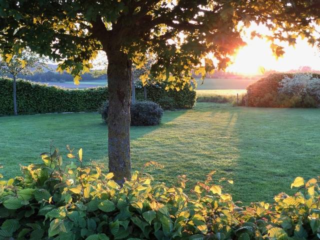 jardin frasnes (24)